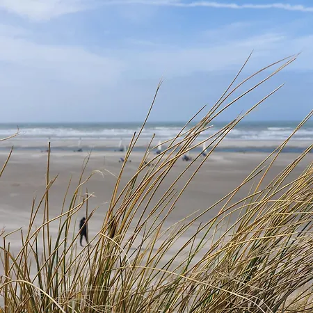 Confort Centre-ville Proche - Fr-1-482-170