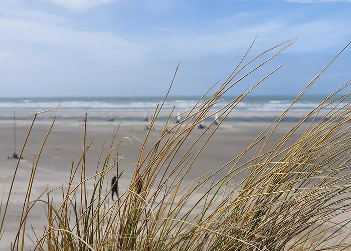 Confort Centre-ville Proche - Fr-1-482-170